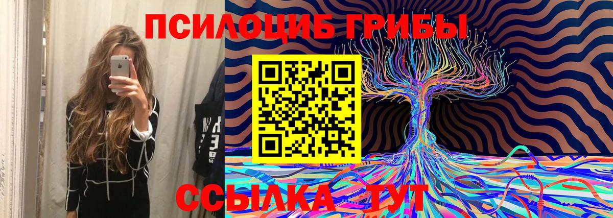 Псилоцибиновые грибы Psilocybine cubensis Ефремов